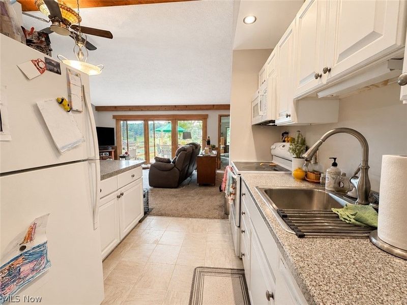 47751 Tomahawk Drive, Negley, OH 44441 Photo 13