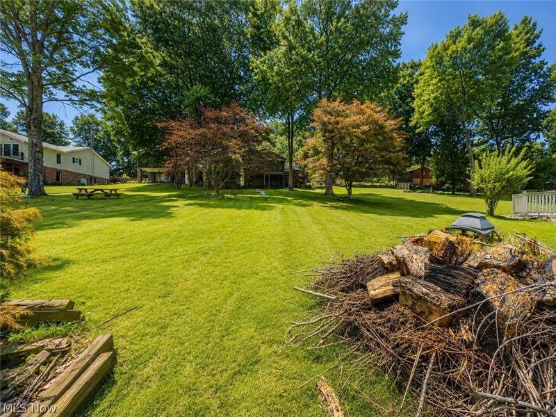 47751 Tomahawk Drive, Negley, OH 44441 Photo 38