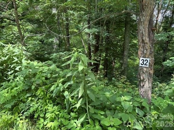 Lot 32 Toi Trail , Maggie Valley, NC 28751