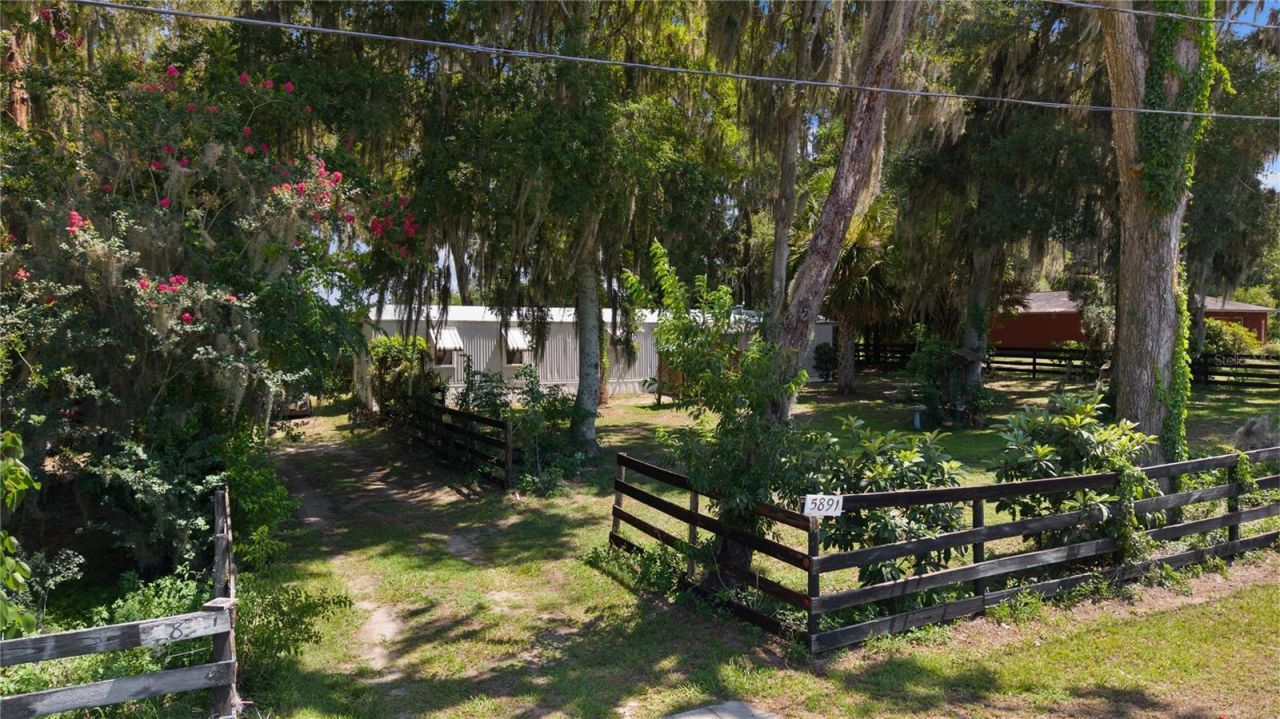 5891 SE 145th Street, Summerfield, FL 34491 Photo
