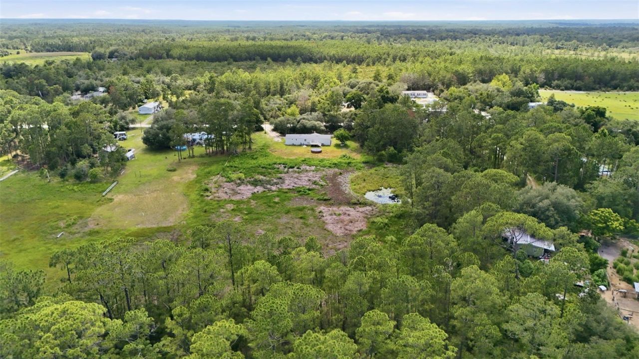 40404 Holly Branch Road, Eustis, FL 32736 Photo
