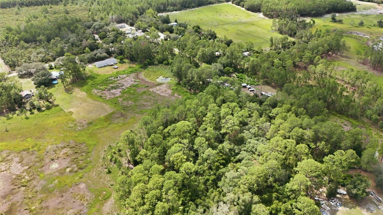 40404 Holly Branch Road, Eustis, FL 32736 Photo