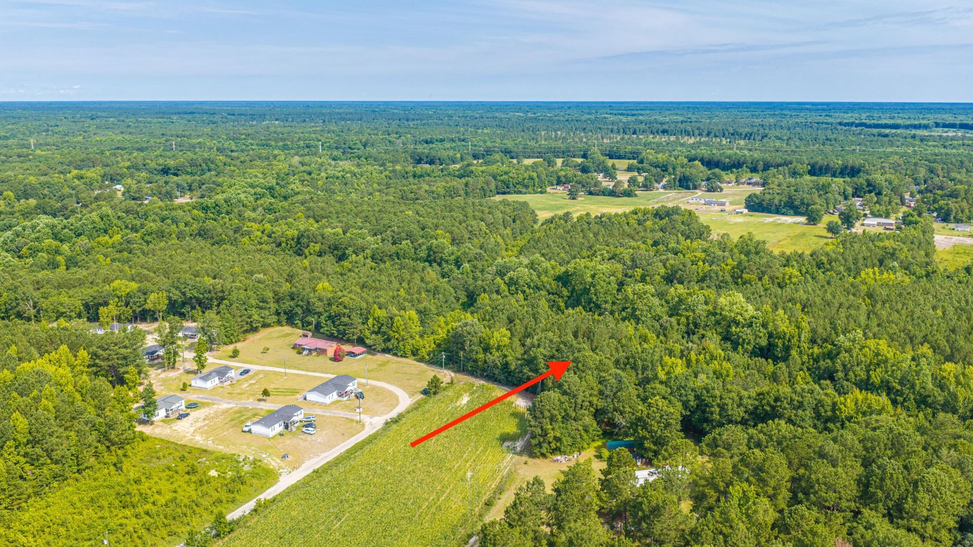 0 Leviticus Lots D-1 And D-2 Lane Photo 10
