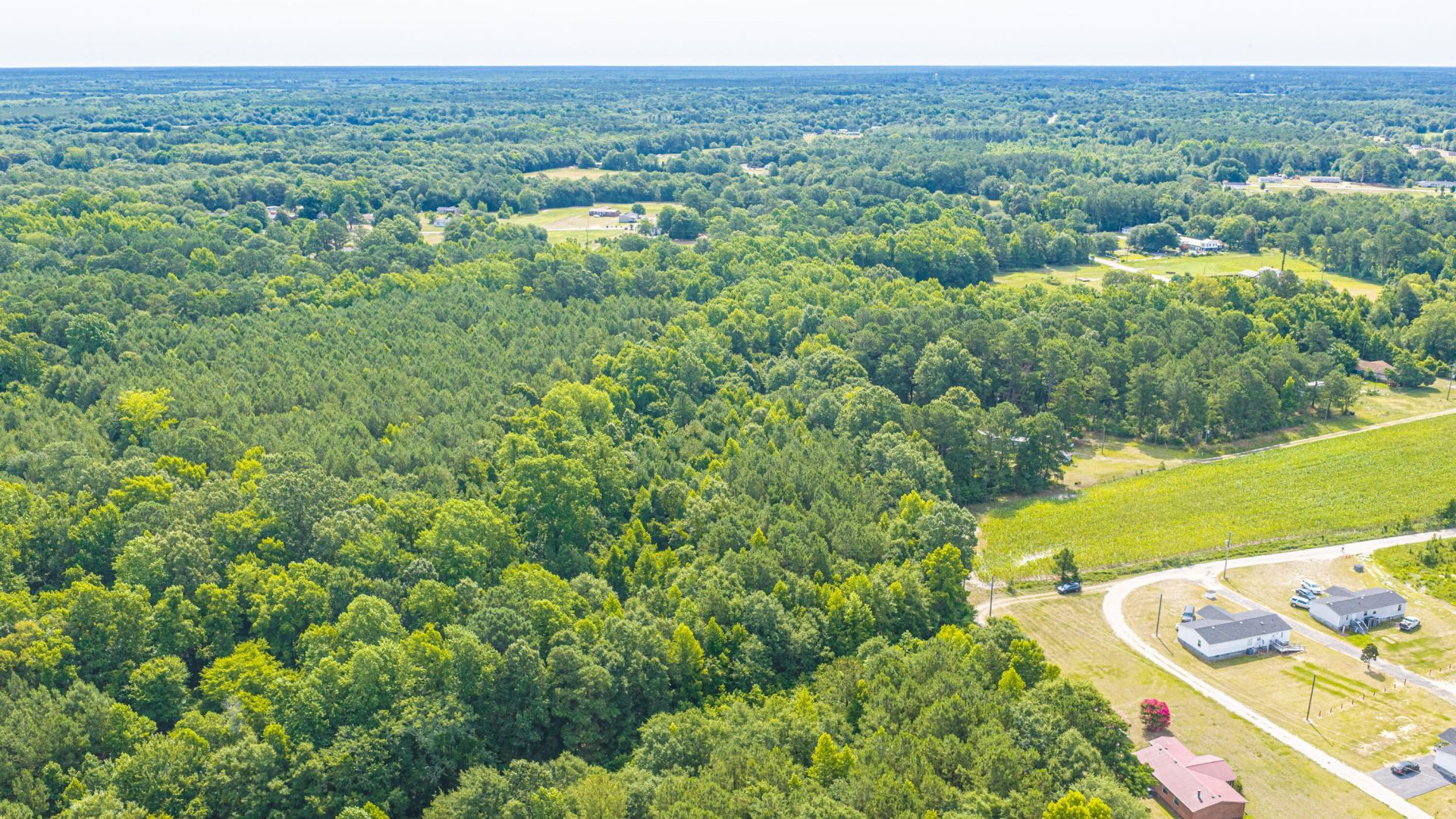 0 Leviticus Lots D-1 And D-2 Lane Photo 16