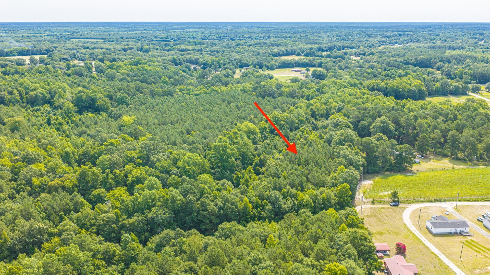 0 Leviticus Lots D-1 And D-2 Lane Photo 17