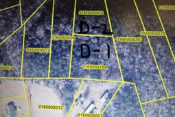 0 Leviticus Lots D-1 And D-2 Lane photo 4