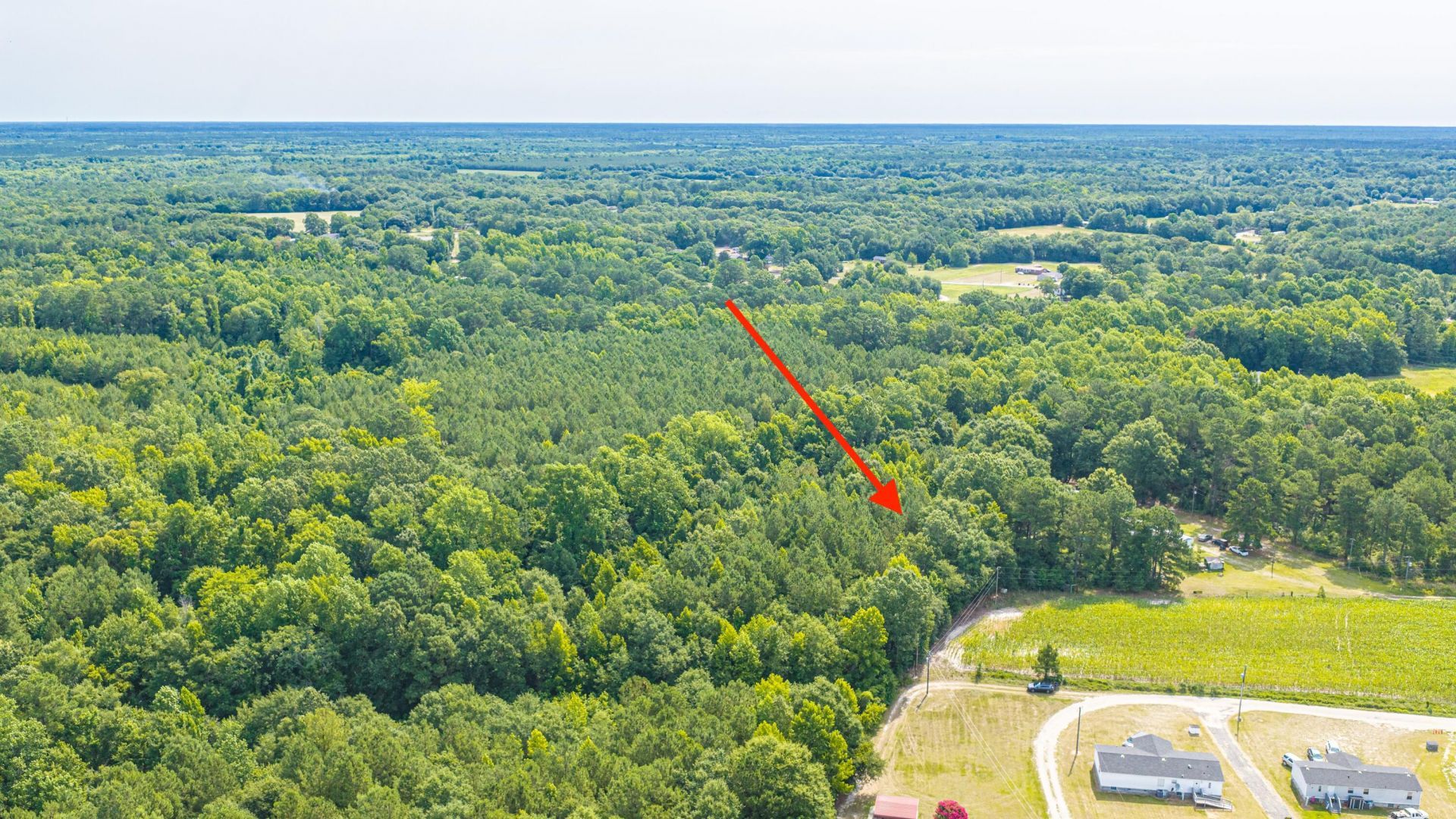0 Leviticus Lots D-1 And D-2 Lane Photo 21