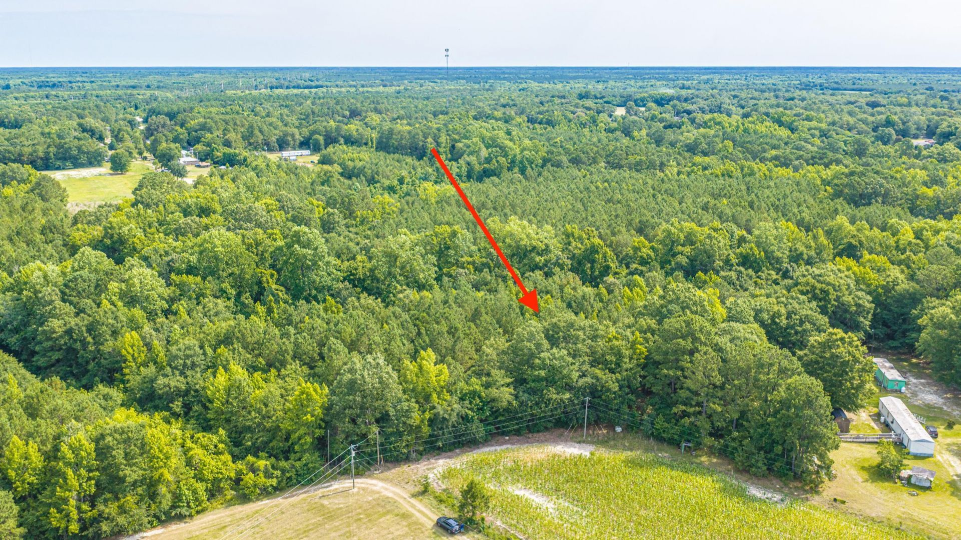 0 Leviticus Lots D-1 And D-2 Lane Photo 4