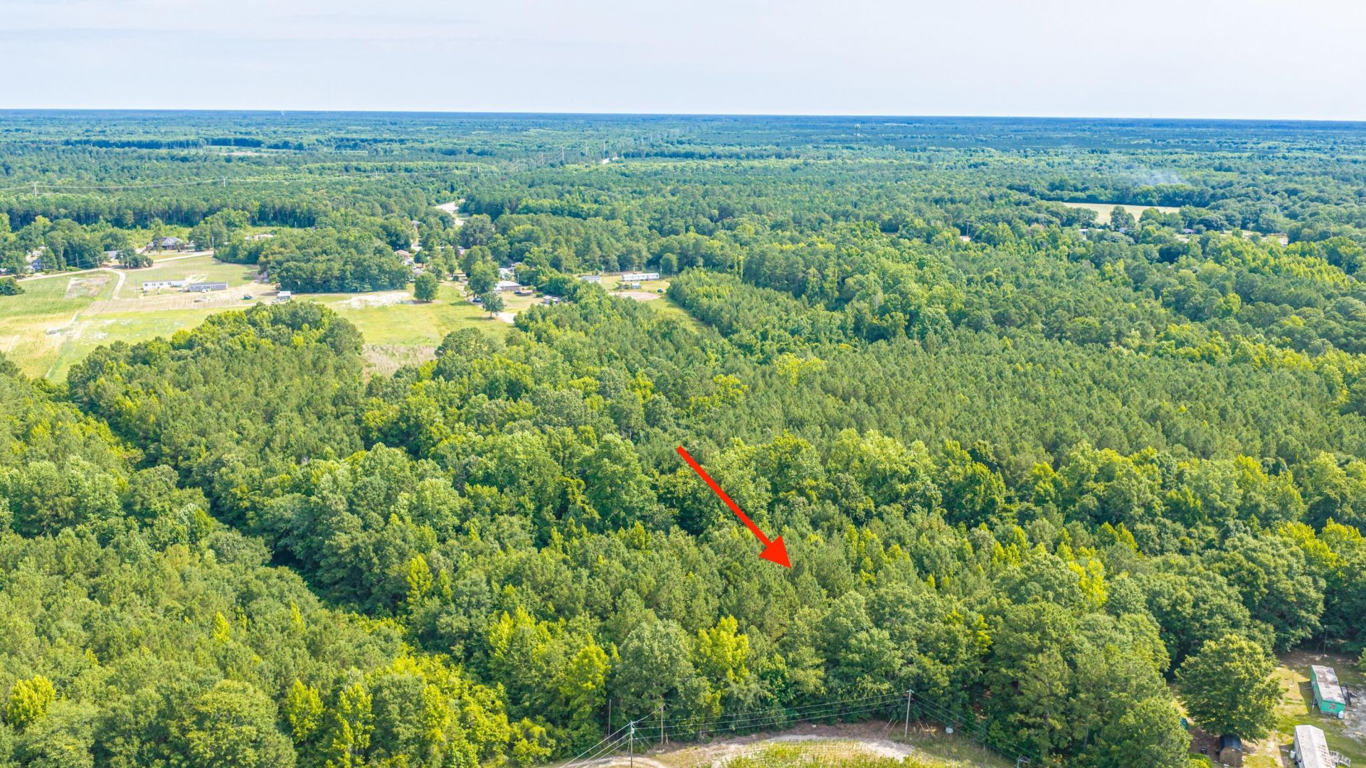 0 Leviticus Lots D-1 And D-2 Lane Photo 41