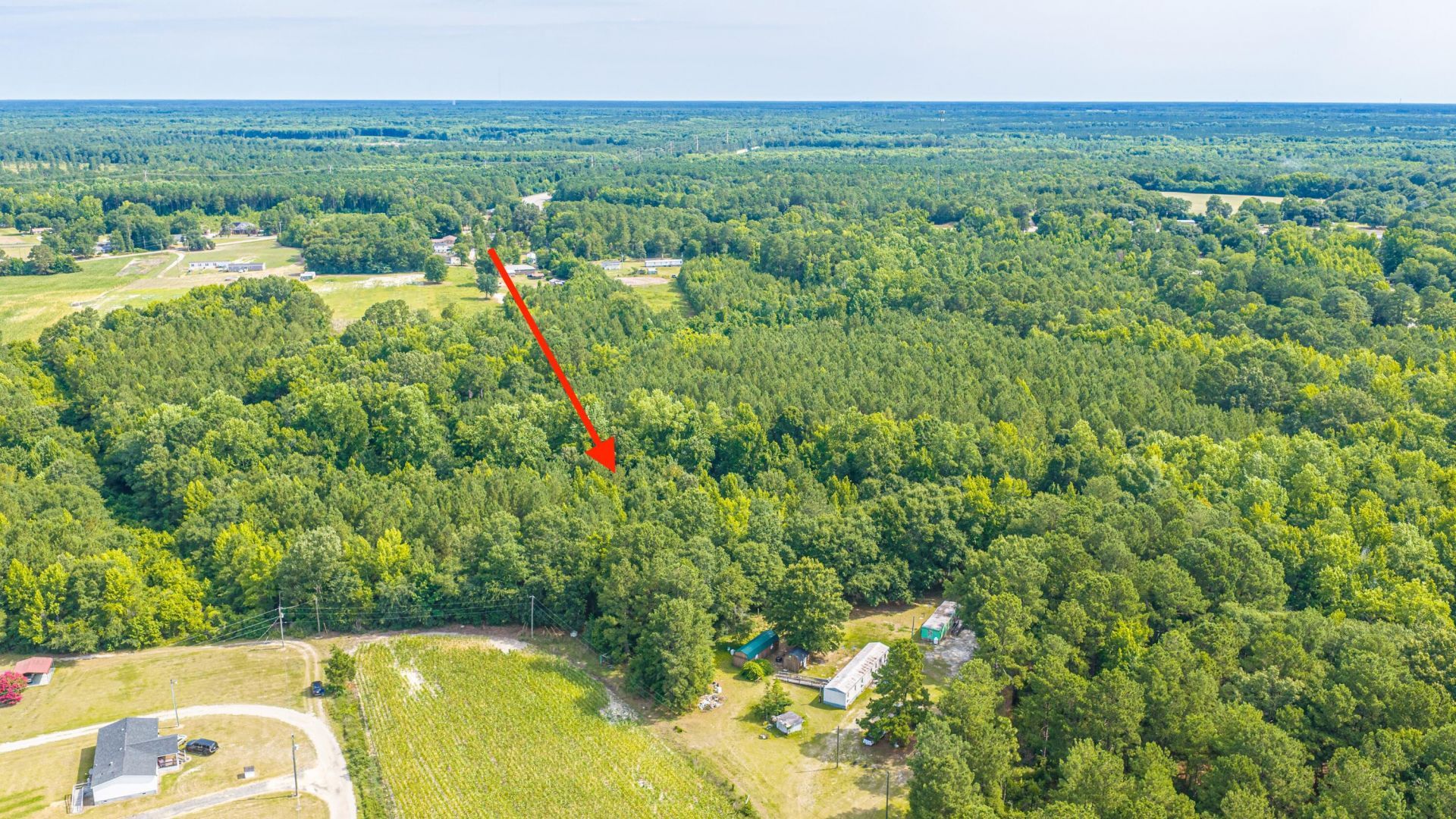 0 Leviticus Lots D-1 And D-2 Lane Photo 8