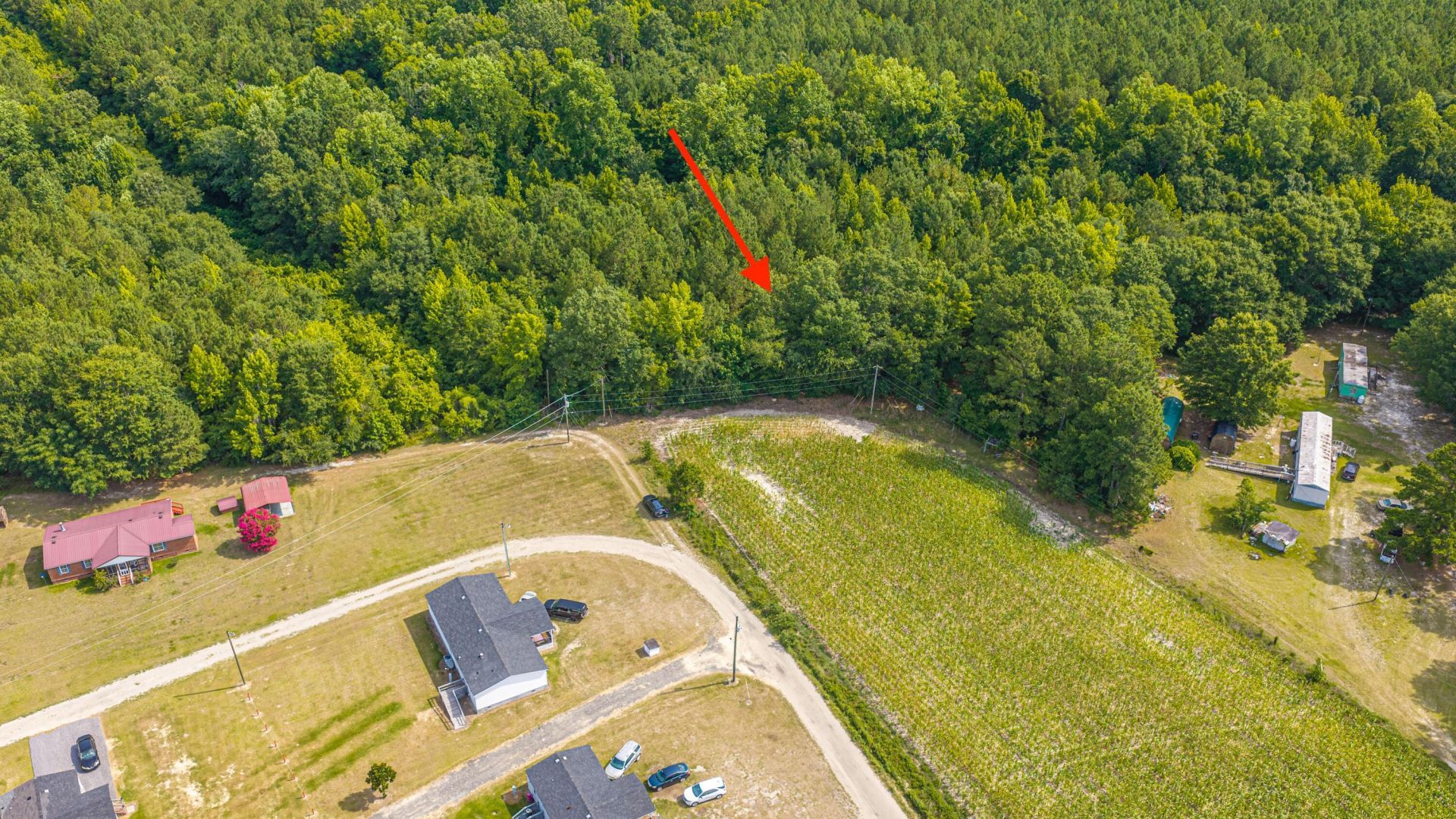 0 Leviticus Lots D-1 And D-2 Lane Photo 9