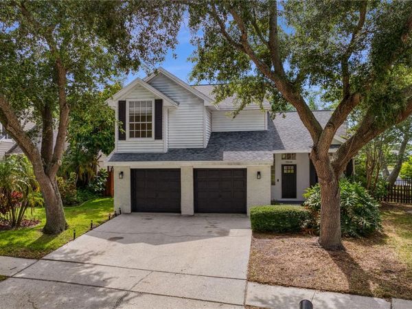 11844 BRANCH MOORING DRIVE, TAMPA, FL 33635