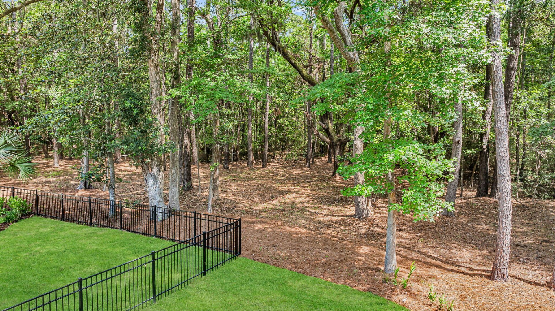4210 Wild Turkey Way Photo 78