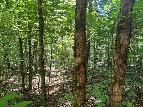 0 Fortner Road , Ball Ground, GA 30107