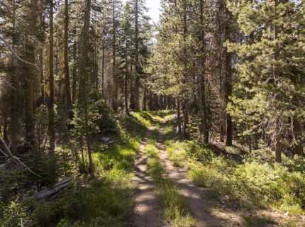 11415 Granite Court, Soda Springs, CA 95728 Photo