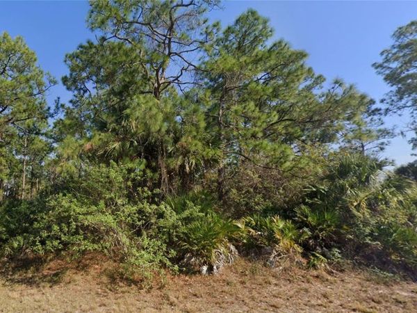 1002 SILVERFISH DRIVE , LABELLE, FL 33935