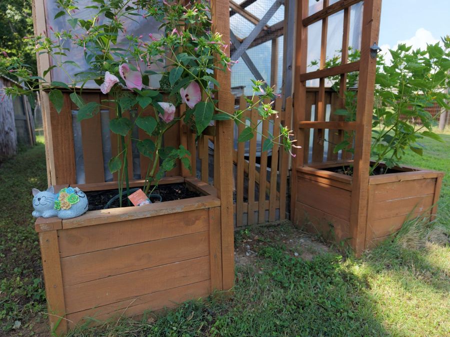 Property Image 55