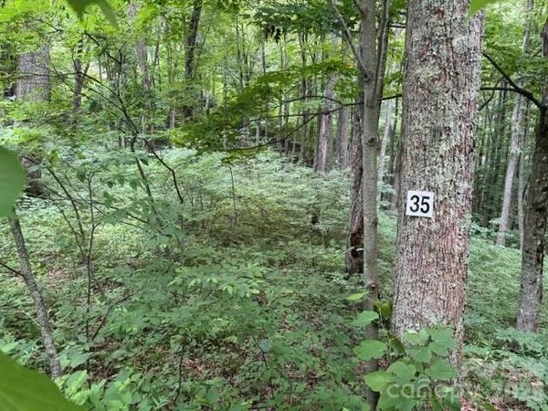 Lot 35 Odalu Trail , Maggie Valley, NC 28751