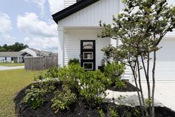 401 Eastern Pine Drive photo 4