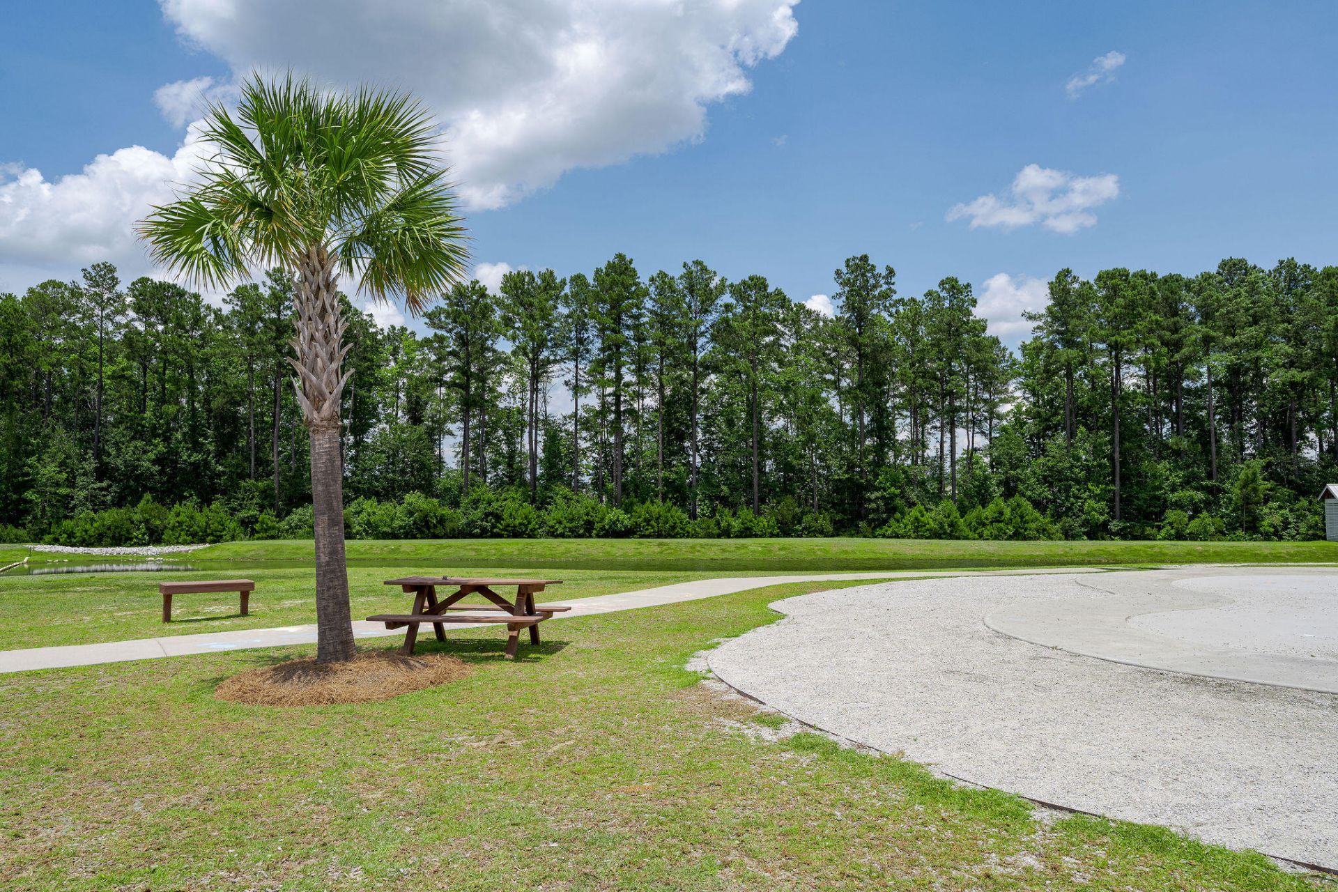 401 Eastern Pine Drive Photo 47