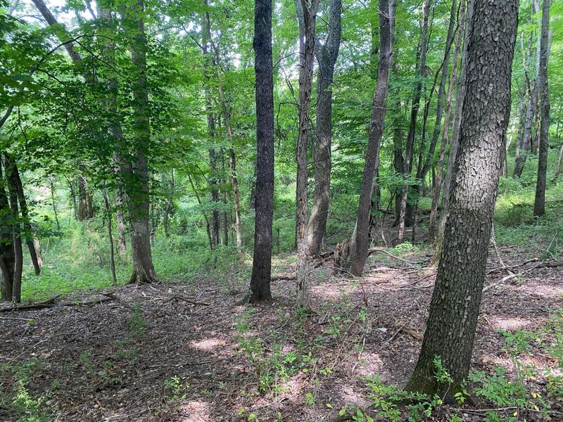 122 Orchard Wood Path, Granville, OH 43023 Photo 5