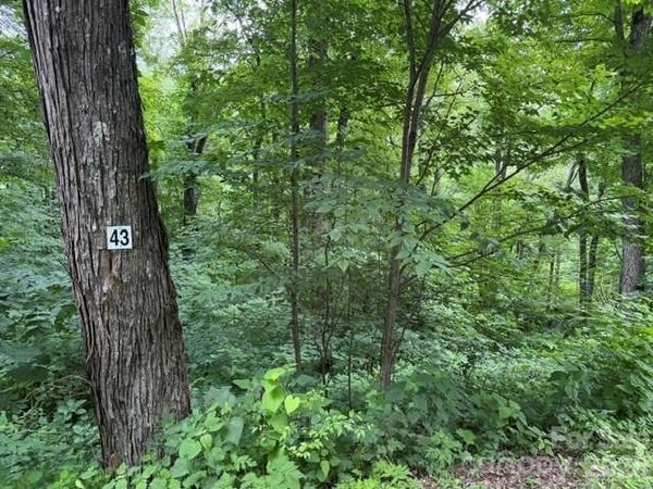 Lot 43 Gata Trail , Maggie Valley, NC 28751
