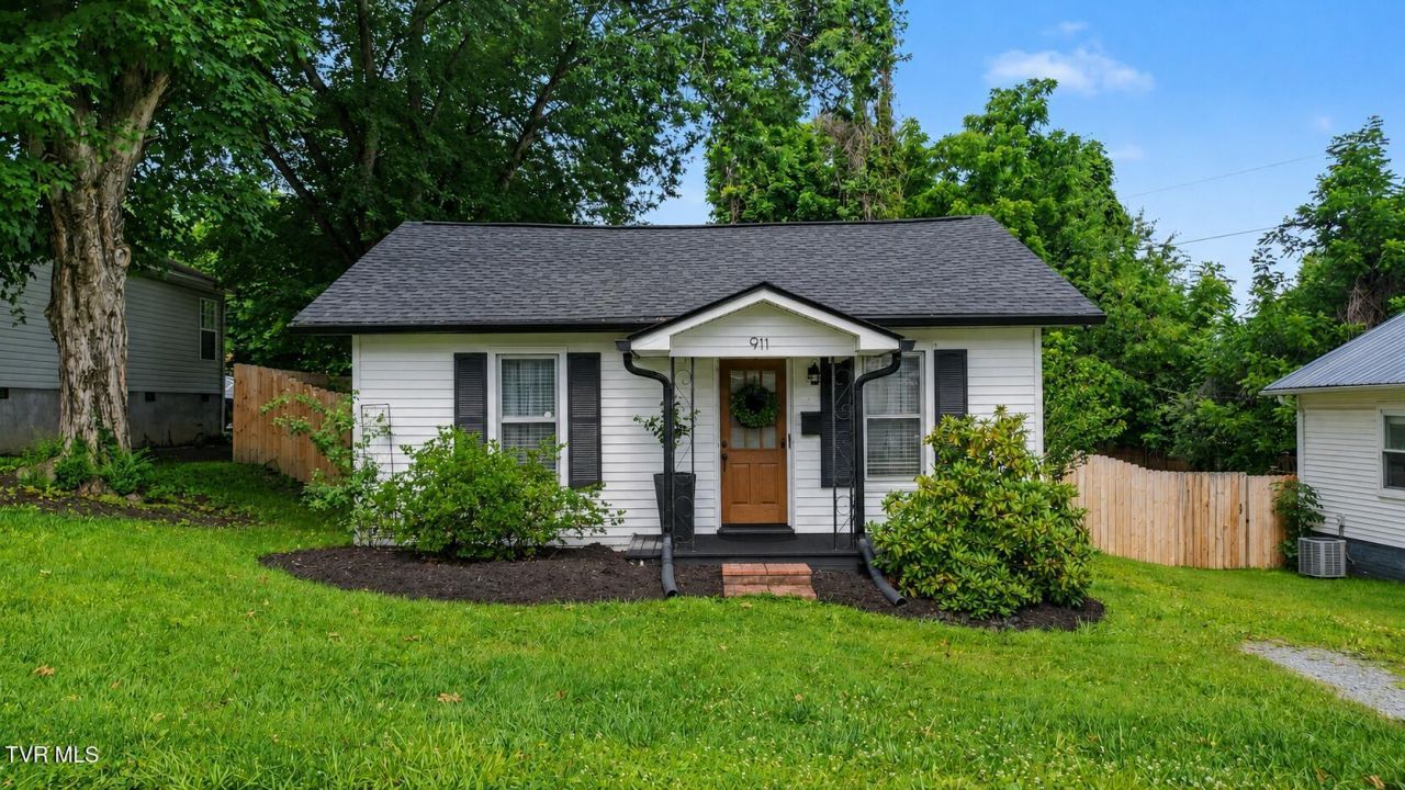 911 Sells Avenue, Johnson City, TN 37604 Main Photo