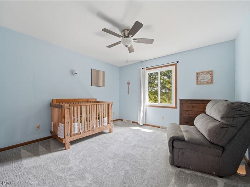 1745 N Duck Creek Road, North Jackson, OH 44451 Photo 20