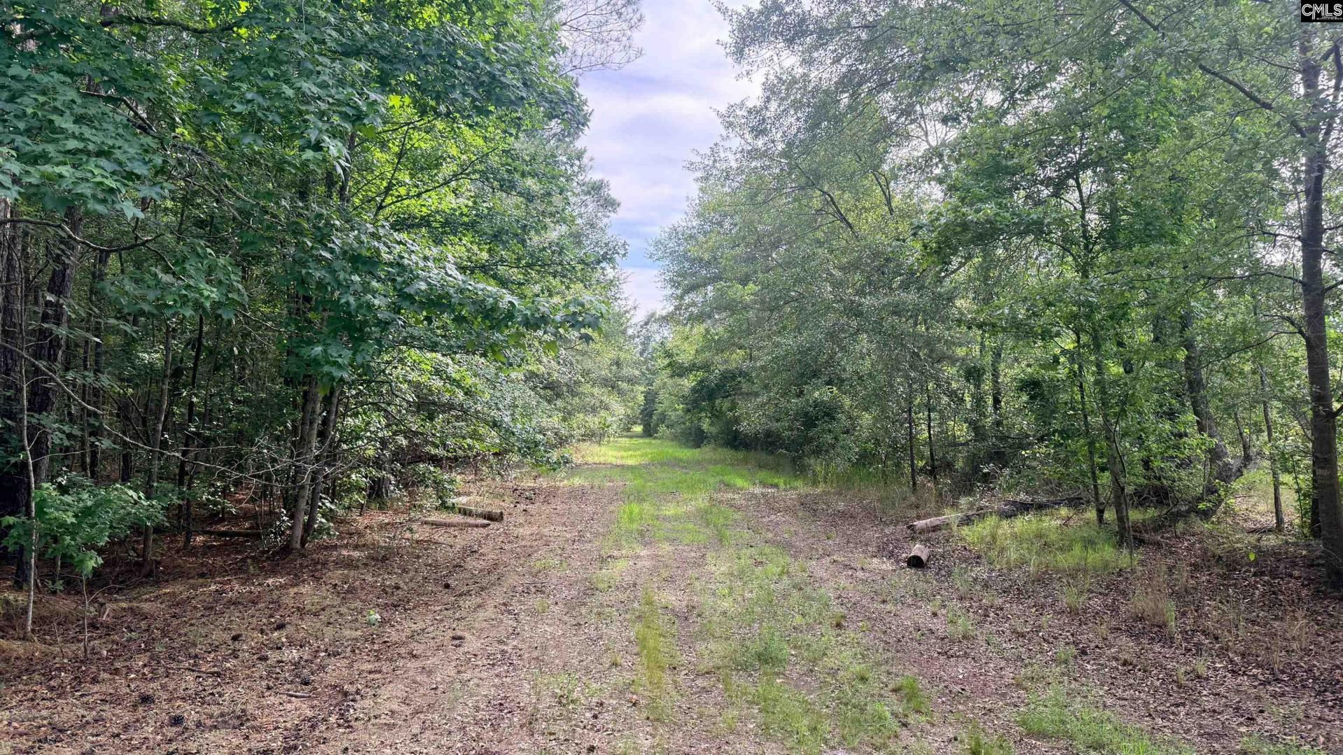 00 Goldenrod Drive Photo 11