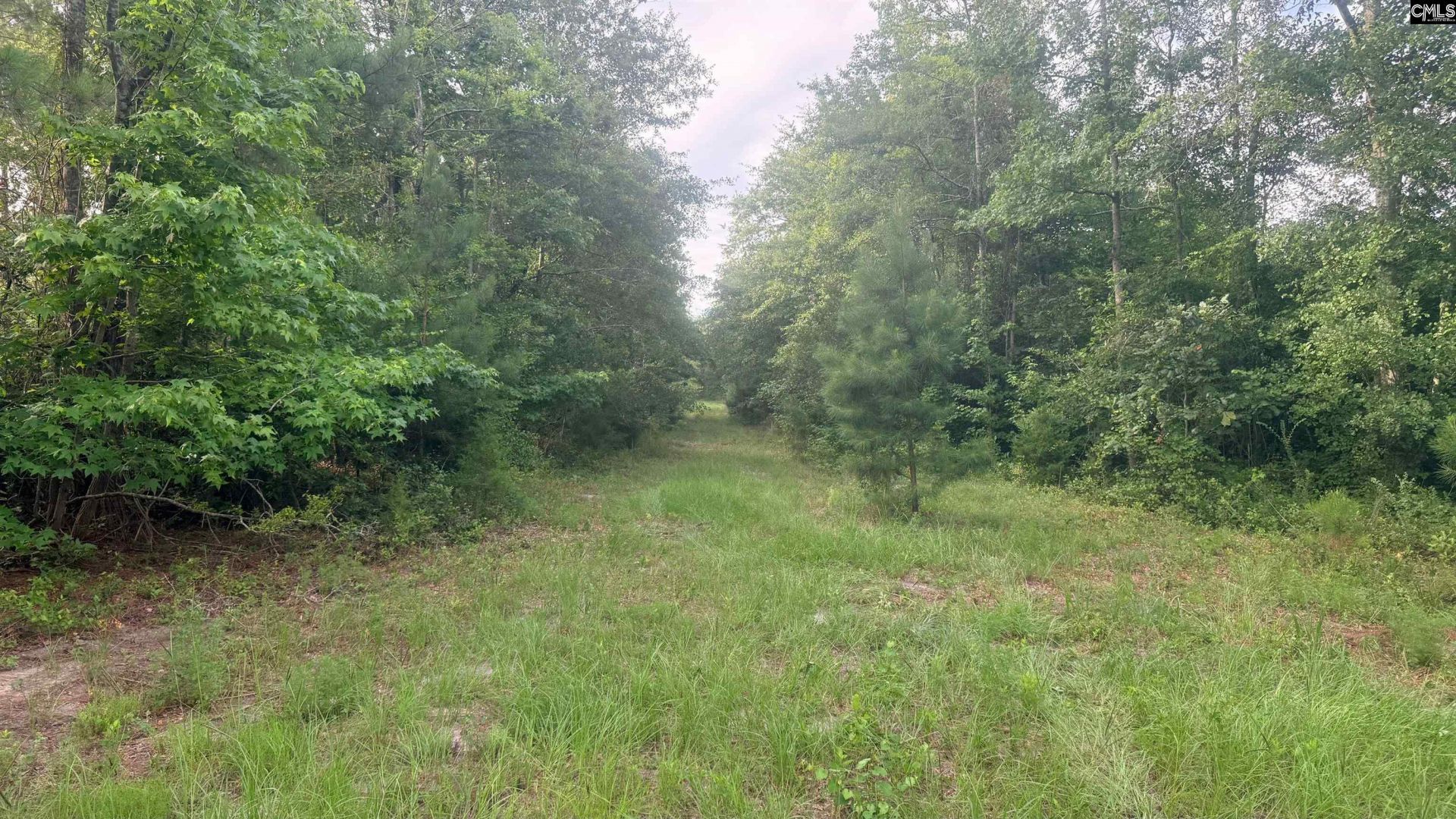 00 Goldenrod Drive Photo 12