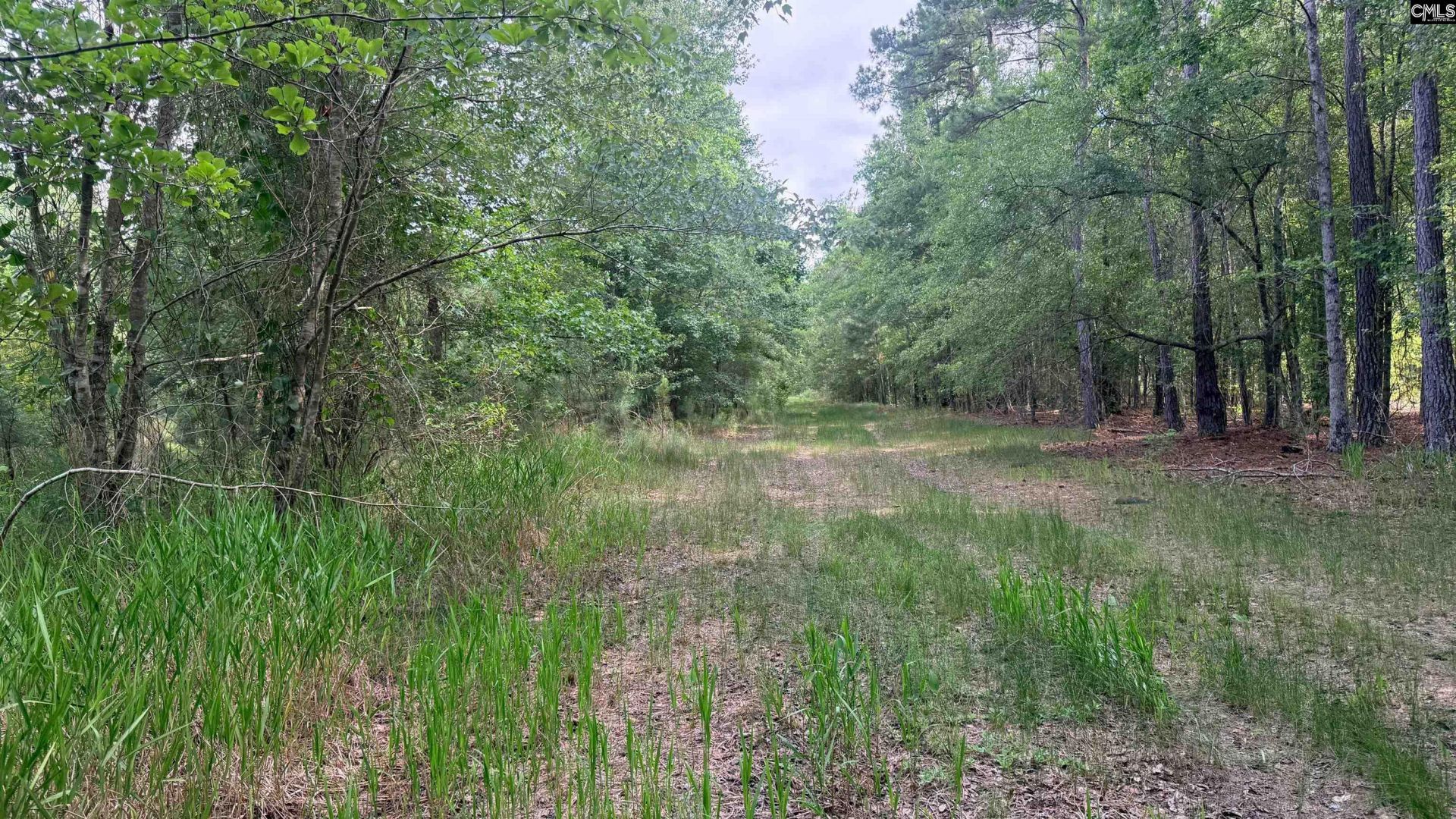 00 Goldenrod Drive Photo 14