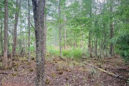 00 Goldenrod Drive photo 4