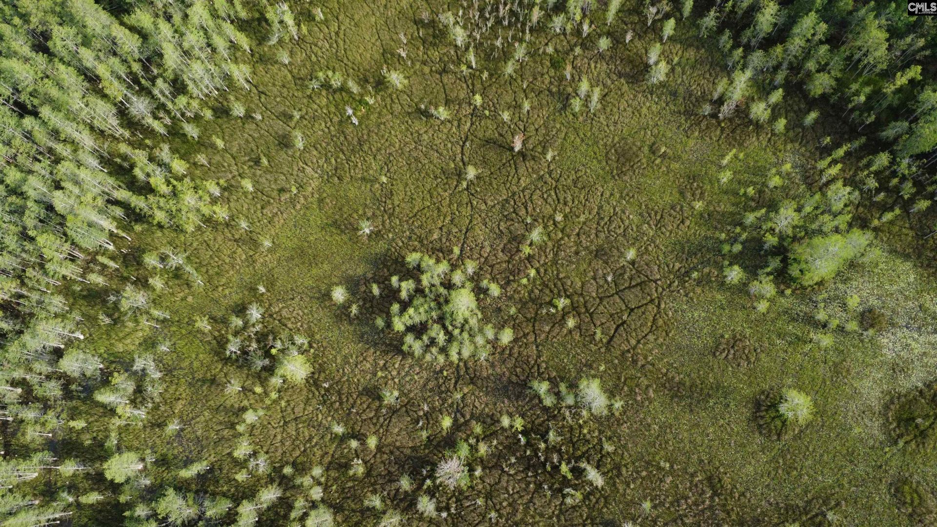 00 Goldenrod Drive Photo 9