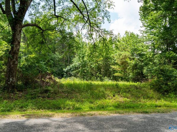 5.37 Acres Mount Carmel Drive, Guntersville, AL 35976