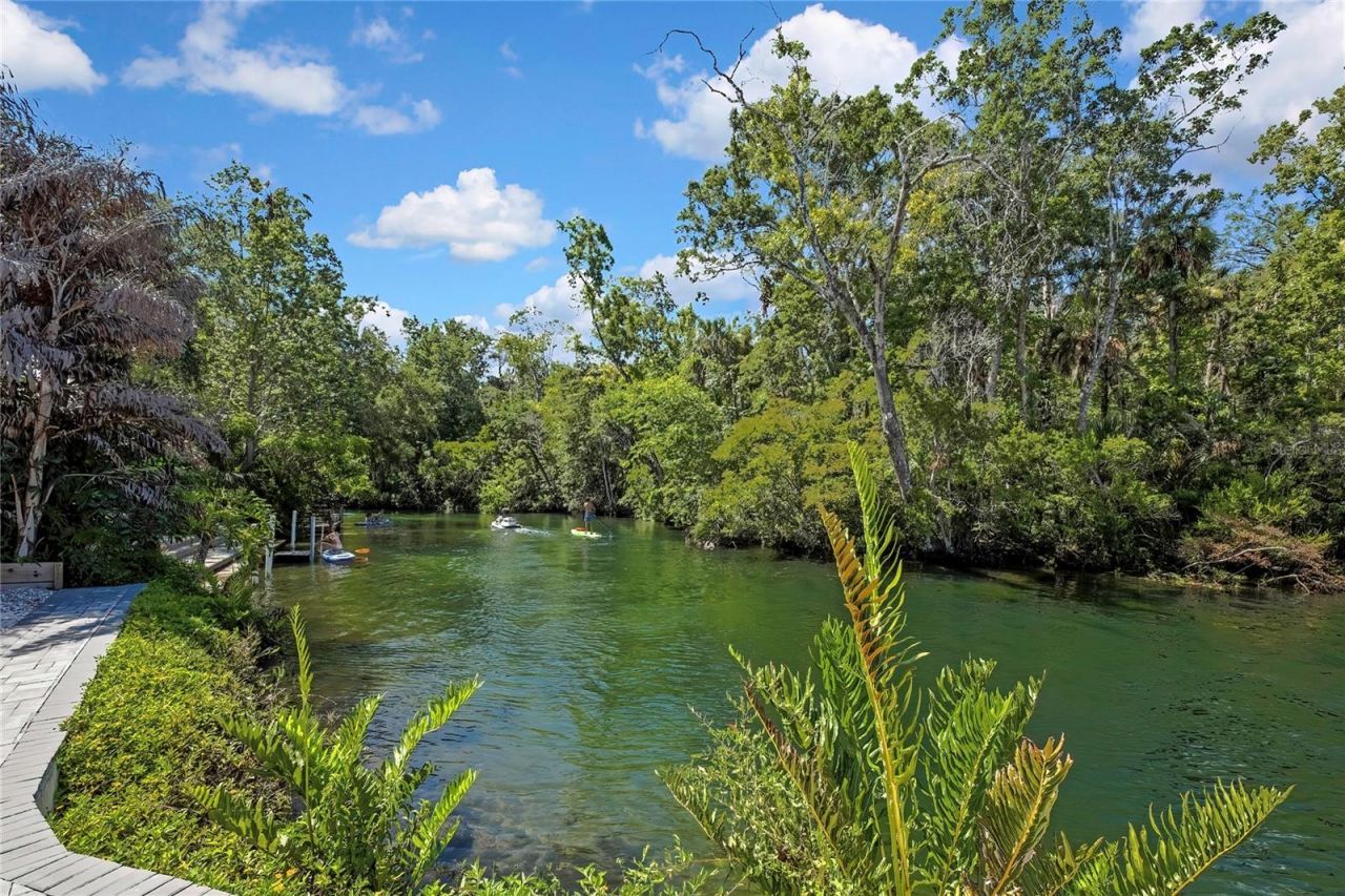 6080 Waverly Road , Weeki Wachee, FL 34607 Photo