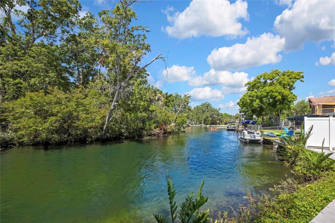 6080 Waverly Road , Weeki Wachee, FL 34607 Photo