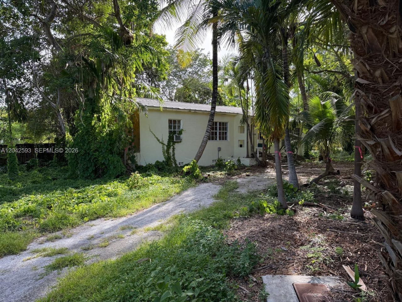 6600 SW 64th Ct, South Miami, FL 33143 Photo