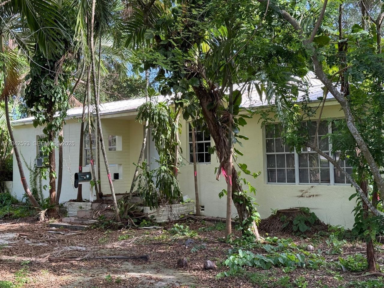 6600 SW 64th Ct, South Miami, FL 33143 Photo