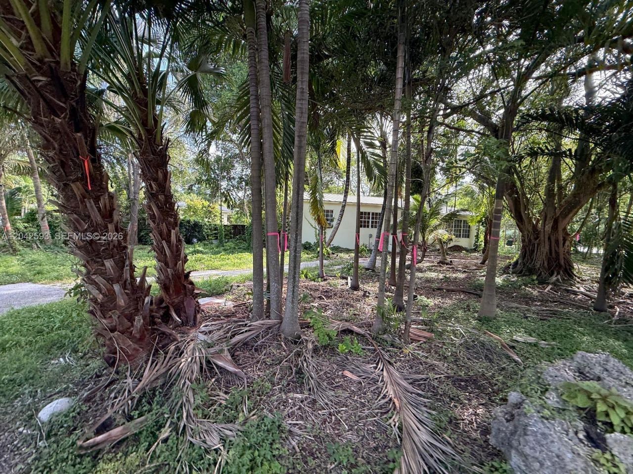 6600 SW 64th Ct, South Miami, FL 33143 Photo