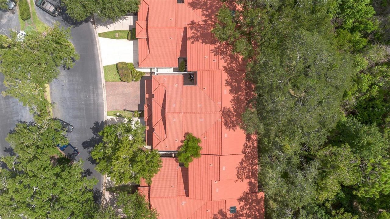 7537 Fenwick Cove Lane, Orlando, FL 32819 Photo