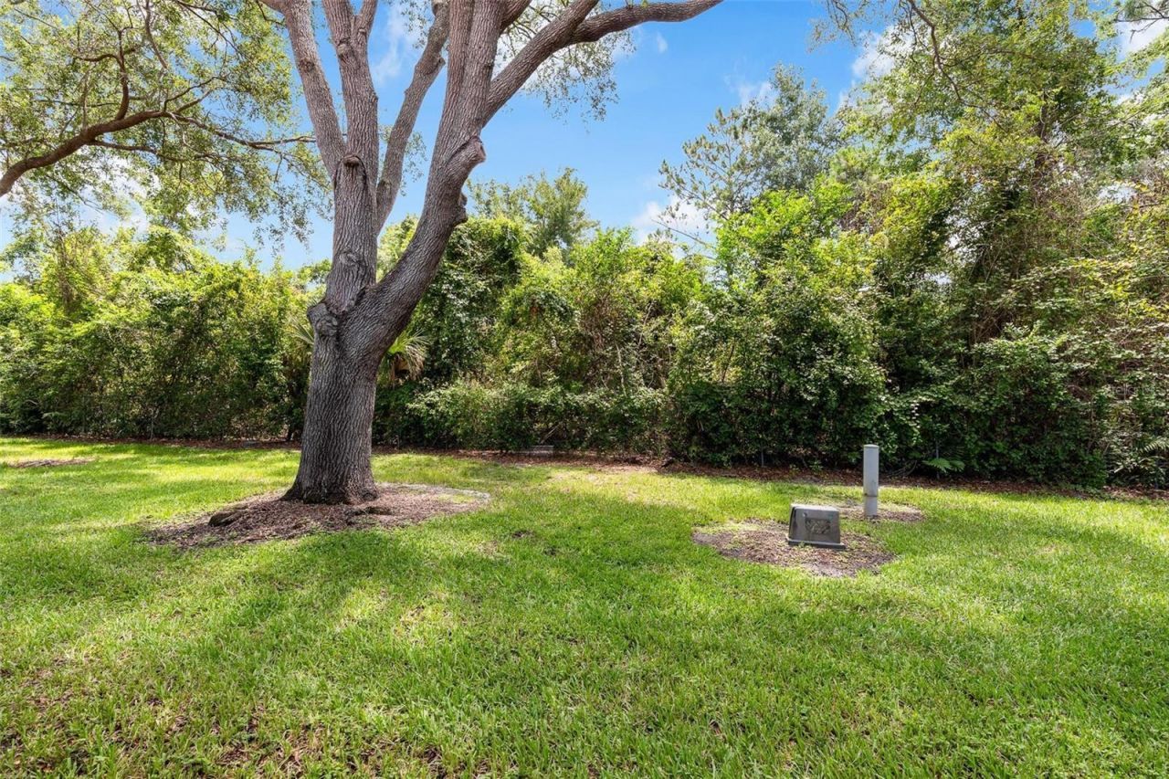 7537 Fenwick Cove Lane, Orlando, FL 32819 Photo