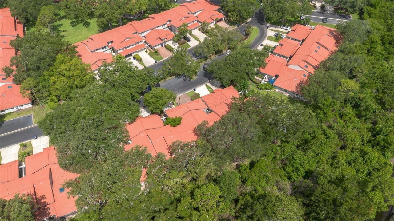 7537 Fenwick Cove Lane, Orlando, FL 32819 Photo
