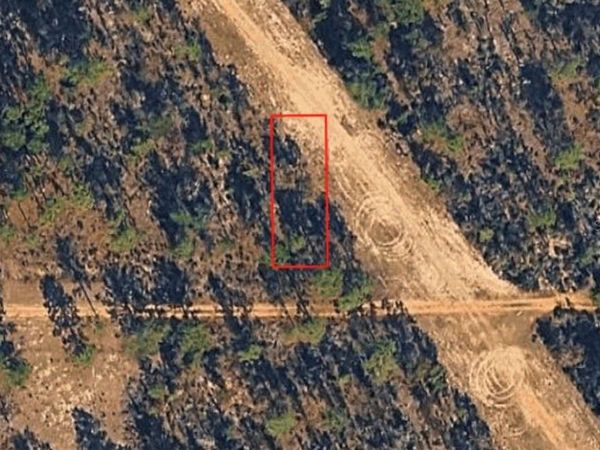 XX BIRCH AVE , INTERLACHEN, FL 32148