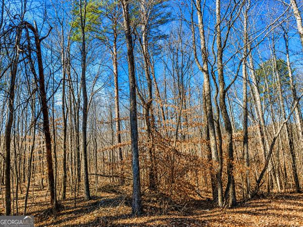 2 ACRES Pettit Road, Jasper, GA 30143