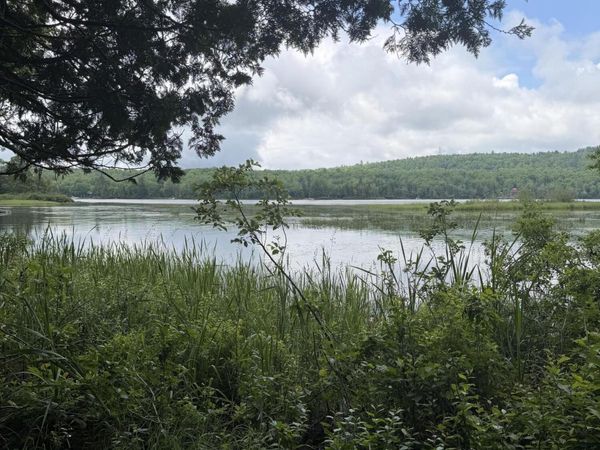 M1L112 Cove/Bear Brook Road , Sebec, ME 04481