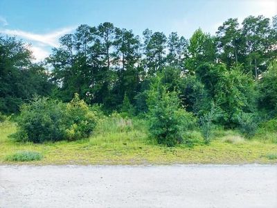 Lot 1 Ivanhoe Pl. , Dillon, SC 29536