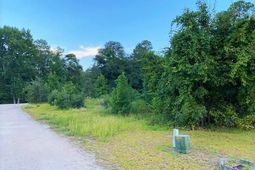 Lot 1 Ivanhoe Pl.  photo 4