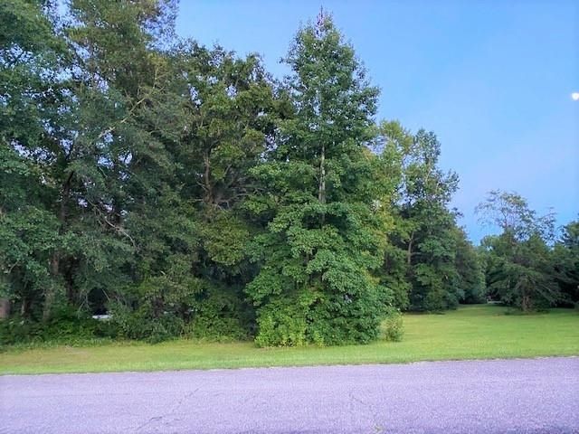 Lot 1 Ivanhoe Pl.  Photo 4