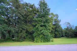Lot 1 Ivanhoe Pl.  photo 4