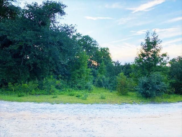 Lot 1 Ivanhoe Pl.  Photo 5